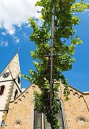 26.02.2022 – Glockenläuten am Sonntagabend für den Frieden